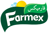 flare-logo